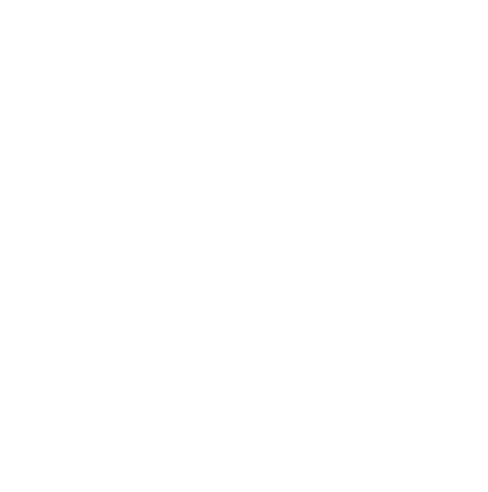 Immigrant Services Society of BC (ISSofBC)