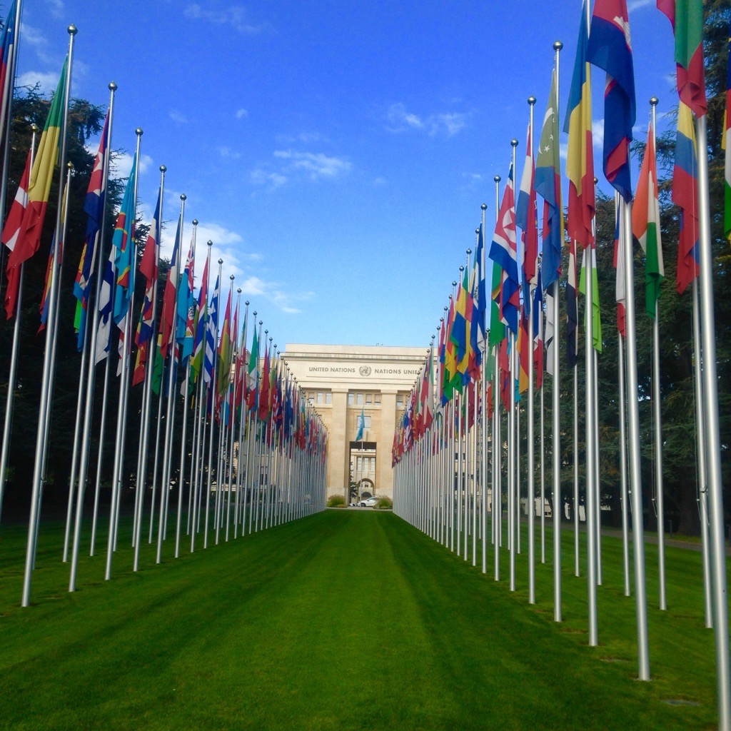 United Nations building lined with international flags, reflecting Rebecca’s global work on communities and migration.